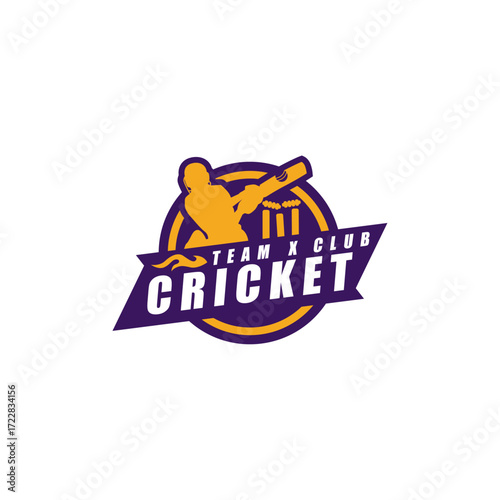 Cricket Team Club Academy Sport Player Logo