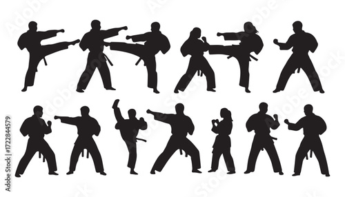 Silhouettes of martial artists demonstrating various kicks and stances.