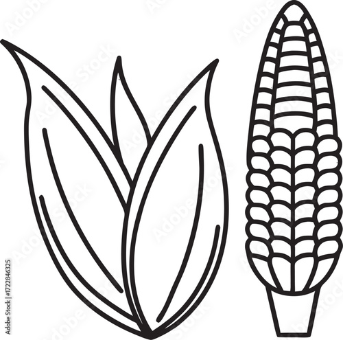 Corn Cob and Husk Icon Set maize leaves