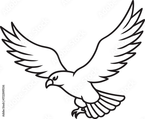 Outline of a Hawk in Flight with Wings Spread Wide