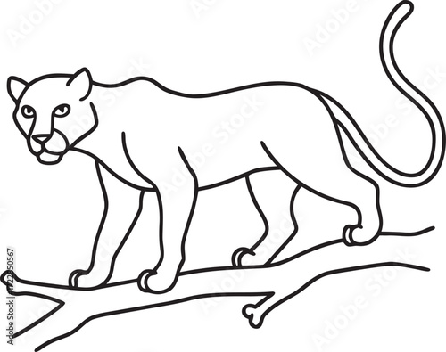 Panther walking on tree branch line art big cat feline