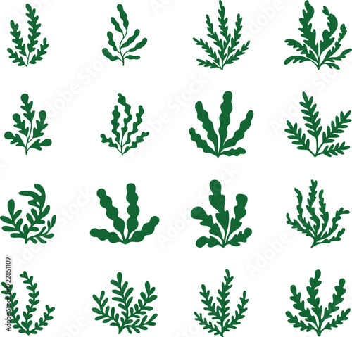 Collection of sixteen green seaweed plant icons on white background kelp algae