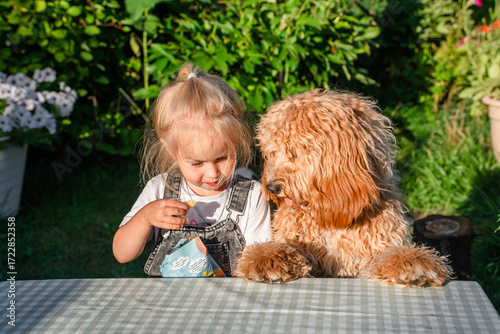 Little child girl sits at a table with her curly shaggy dog outdoor in summer