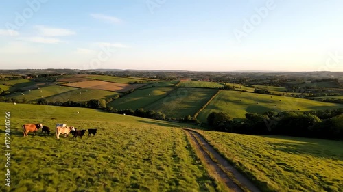 Pastoral Harmony: Scenic Farmland with Grazing Cattle at Sunset and Rolling Hills Vista creating a serene bucolic landscape
