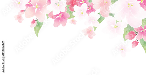 Apple blossom frame/background(vector)