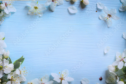 Peach blossoms placed all around on wooden texture background. Copy space