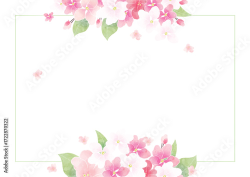 Apple blossom frame/background(vector)