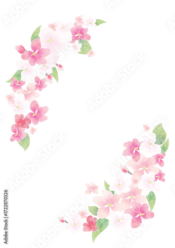 Apple blossom frame/background(vector)