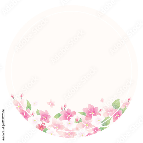 Apple blossom frame/background(vector)