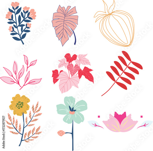 Exotic flowers with leaves isolated on white background