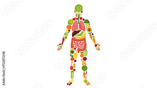 Advanced Vibrant Human Body Anatomy Made of Healthy Fruits and Vegetables - Nutritional Wellness Illustration