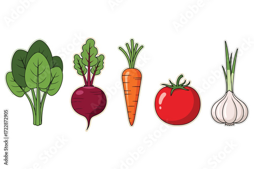 Vector art of a colorful assortment of fresh vegetables, including spinach, beet, carrot, tomato, and garlic, all with green leaves and vibrant colors