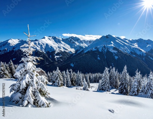 Snowy mountain peaks and frosted evergreen trees on a bright, sunny day create a beautiful, crisp winter landscape scene