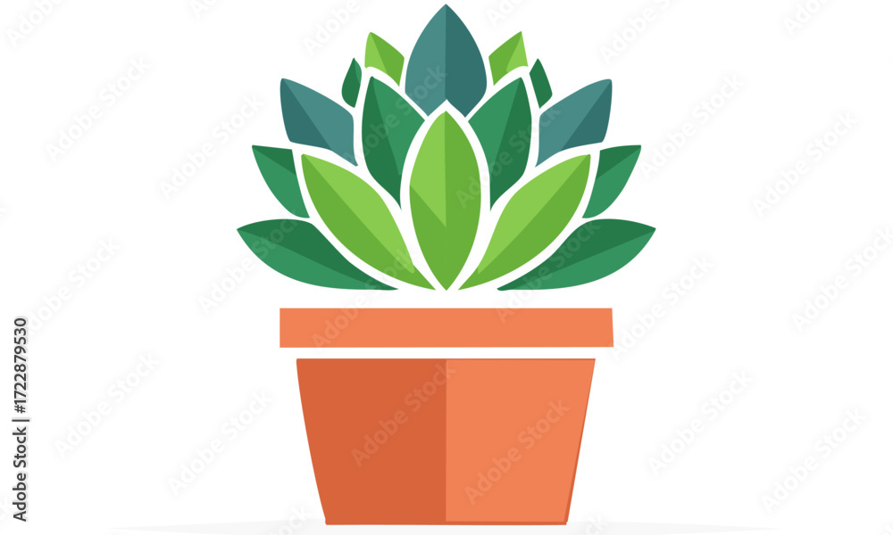 Fototapeta premium cactus in a pot isolated