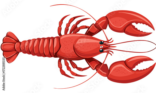 lobster vector illustration