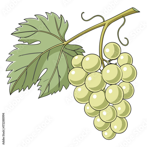 Fresh, juicy grapes with vibrant green leaves, perfect for summer recipes and healthy eating promotions, ideal for food blogs and culinary designs