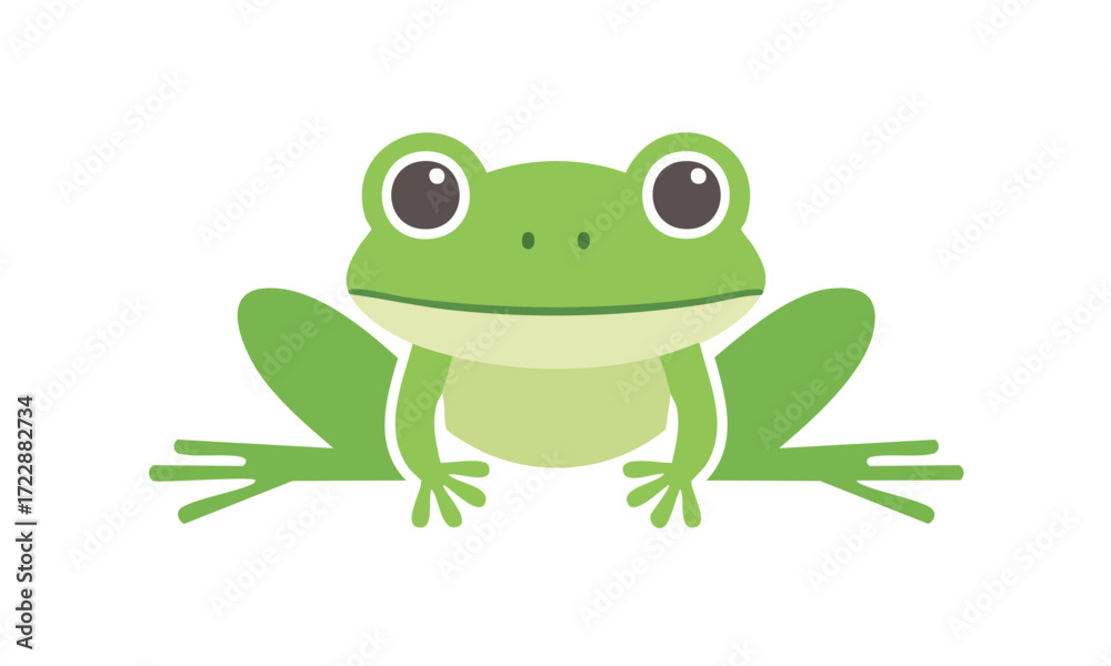 Obraz premium green tree frog