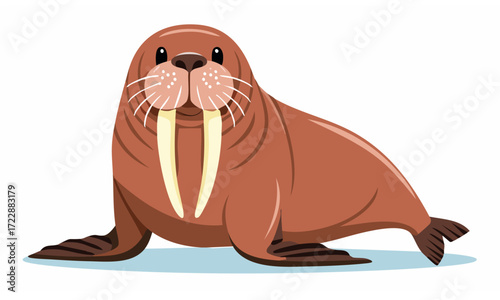 illustration of a cartoon seal