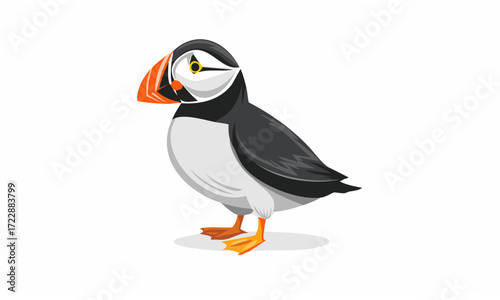 toucan bird cartoon