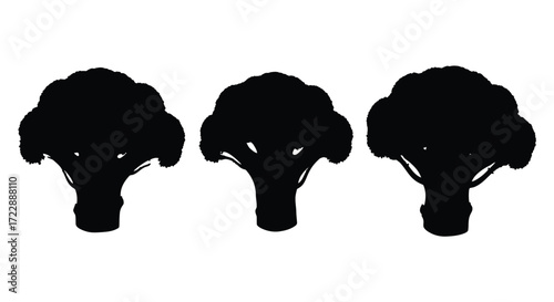 Three black silhouettes of fresh broccoli florets arranged on a white canvas vector