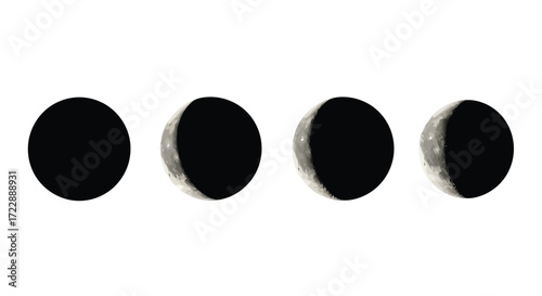 Phases of the moon celestial bodies shown in sequence against a neutral background vector