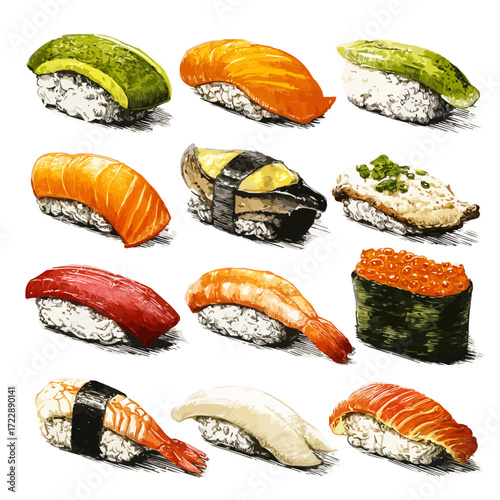 vector illustration, isolate, sushi nigiri closeup