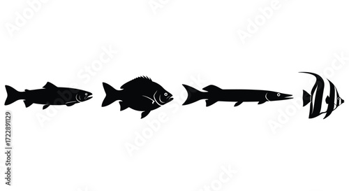 Diverse aquatic life silhouettes representing different freshwater and saltwater fish species vector