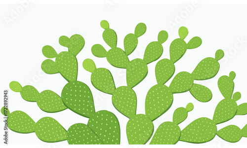 cactus vector illustration