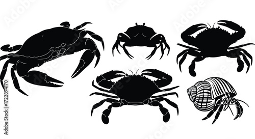Collection of silhouette crabs in various poses and styles isolated on vector