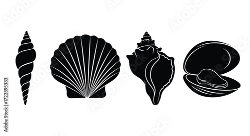 Assortment of silhouette seashells and scallop shells on white vector