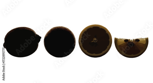Four circular objects progression from dark to semi-transparent slice showing texture vector