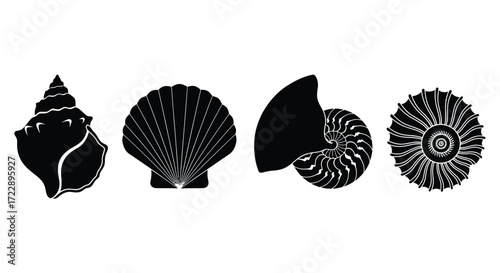 Four distinct black silhouettes of seashells and a fossil ammonite showcase nature's designs vector