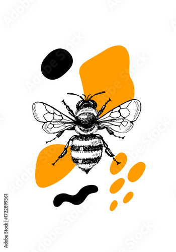 Hand drawn vintage honey poster with sketch bee. Abstract vector illustration. Packaging design