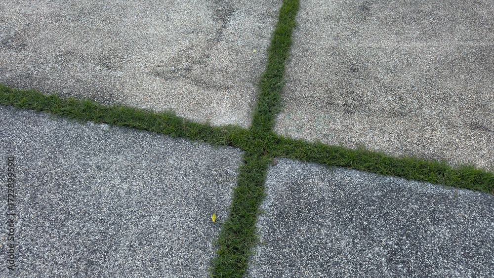 custom made wallpaper toronto digitalA top-down view of a simple concrete surface with a cross-shaped pattern formed by strips of vibrant green grass. The image captures the contrast between the rough, weathered stone and the delicate