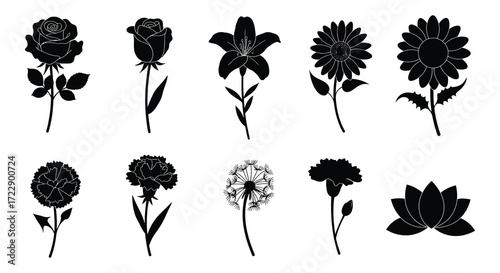 A collection of diverse black silhouette flowers arranged in a horizontal row