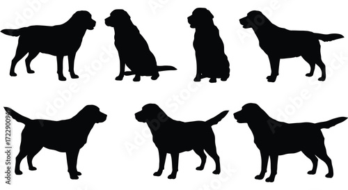 Silhouettes of various labrador retriever dogs in different poses shown