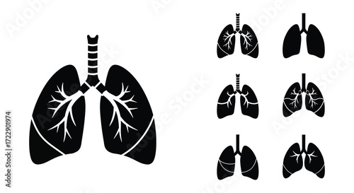 Illustration of human lungs and bronchial tree structure in black and white
