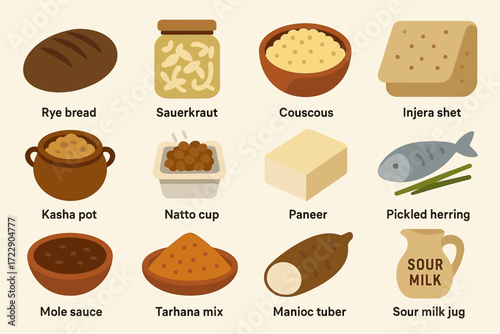 Illustrations of global fermented foods and ingredients from various cultures