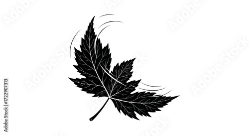 Silhouette of a maple leaf in motion, showcasing its detailed veins and jagged edges  against a