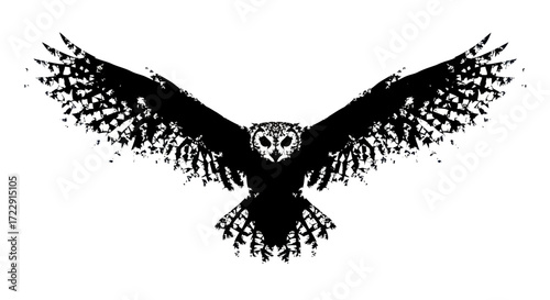 A black and white stencil of an owl in flight depicts abstract feather patterns and sharp details