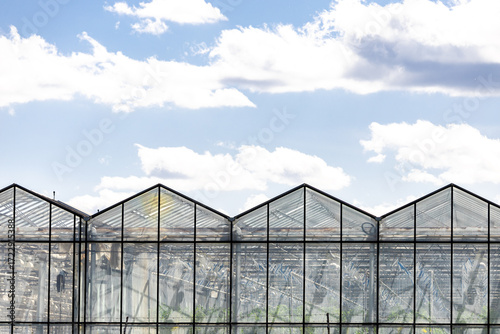 Cuadro en lienzo Greenhouse industrial exterior