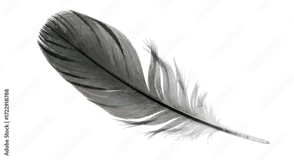 Obraz premium Monochrome avian plumage capturing subtle textures and delicate barbs isolated on white background