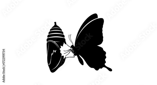 Silhouette of butterfly emerging from chrysalis depicting metamorphosis and transformation stages