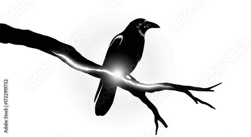 Silhouette raven perched on a limb, bright lighting enhances its stark form, captivating