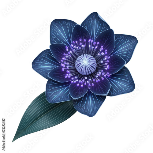 Otherworldly indigo bloom with glowing violet spheres, frosted amethyst core, and dark teal leaf, isolated on transparent background. Concept of rare botanical discovery