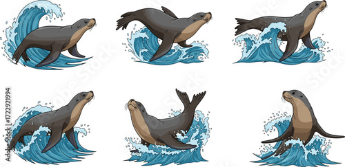 Sea lion illustrations, marine animal vector, ocean wildlife art, cute seal design, cartoon sea lion clipart, aquatic mammal wave drawing