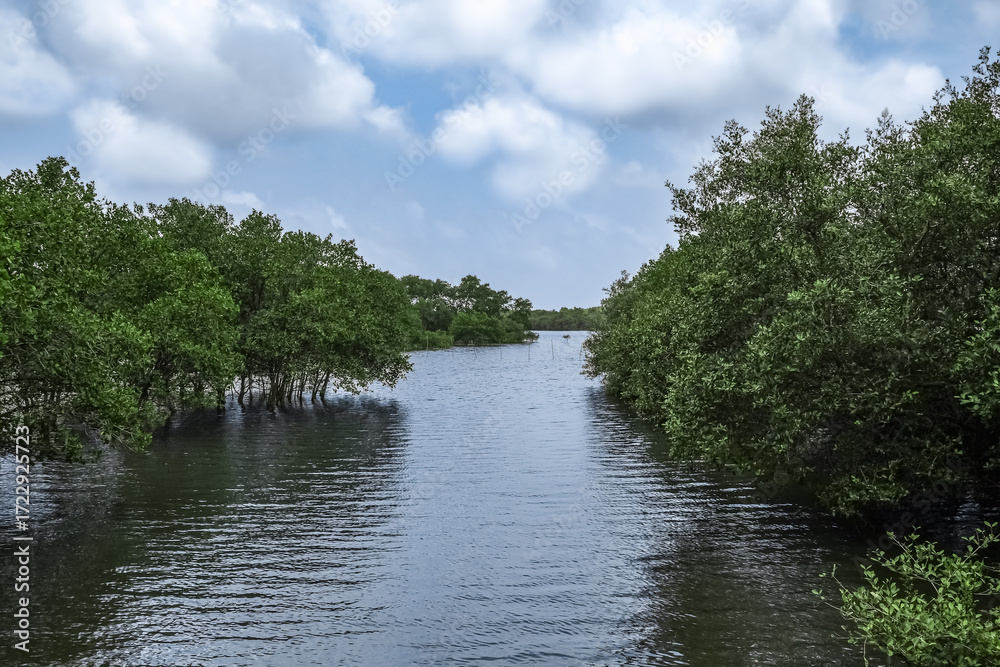 Fototapeta premium Tranquil Mangrove Forest with Serene Water Flowing Through Lush Greenery Under cloudy blue Sky.