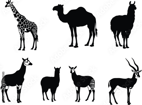 Giraffe, camel, llama, okapi, alpaca, gazelle, antelope, hoofed mammals, animal silhouettes, wildlife illustration, zoology comparison, exotic quadrupeds, biodiversity study