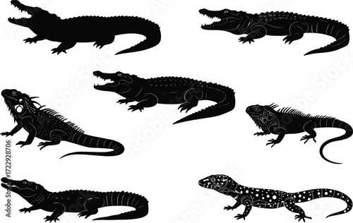 Reptile silhouettes, crocodile alligator lizard gecko iguana monitor, wildlife illustration, animal shapes, exotic species, nature design, zoology education art