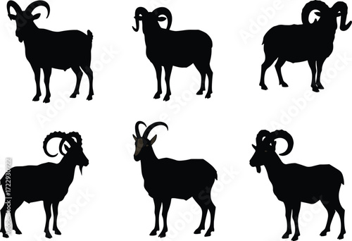 Goat silhouettes with curved horns, farm animal illustration, livestock art, wildlife outline, nature drawing, agriculture, zoology, species identification, educational, fauna